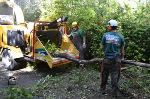 tree services Bessemer